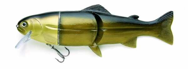 Castaic Hard Head - 6" Floating - Golden Shiner 3 Castaic Hard Head - 6" Floating - Golden Shiner
