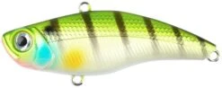Darts Shake Xpress 65mm-810 Striped Bass