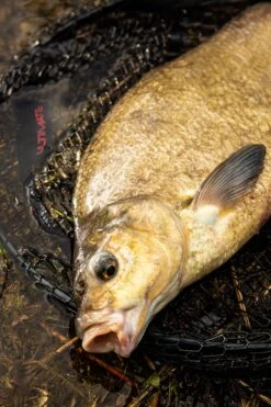 Ultimate Pannet 50x40cm -Hengels Winkel 4591855e56a4c716