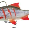 Fox Rage Realistic Replicant Roach 'Super Wounded' 18cm (85g) -Hengels Winkel 628dc9a43aafd39e