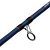 Mitchell Rod Riptide R 212 100/300 Dorade 1 Mitchell Rod Riptide R 212 100/300 Dorade -Hengels Winkel 7a1dd4b52902f182