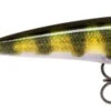 Rapala X-Rap 8cm Live Perch -Hengels Winkel 81f71308fb24c3ba