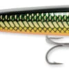 Storm Salt Rattlin Chug Bug 8cm Green Mullet Popper (Cbs08 1265) -Hengels Winkel 9b1ed3d5c84b4e2d