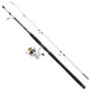 Mitchell Tanager SW Boat Spinning Combo 2,40m (100-300g) -Hengels Winkel 9ecd9dc3bb17a7db