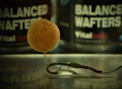 Vital Baits Nutty Crunch Wafters 18mm -Hengels Winkel b37e1dd7cf81c435