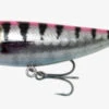 Savage Gear 3D Minnow Pop Walker 8cm 14g F Pink Barracuda PHP -Hengels Winkel c2628699df9eae7c