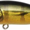 Megabass Popx Gg Peacock 1 Megabass Popx Gg Peacock -Hengels Winkel c5792faae47747b0