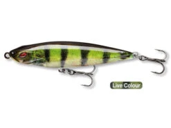 Daiwa PX Pencil BT65F Live Perch